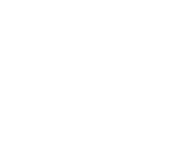 City of Aiken Government Logo